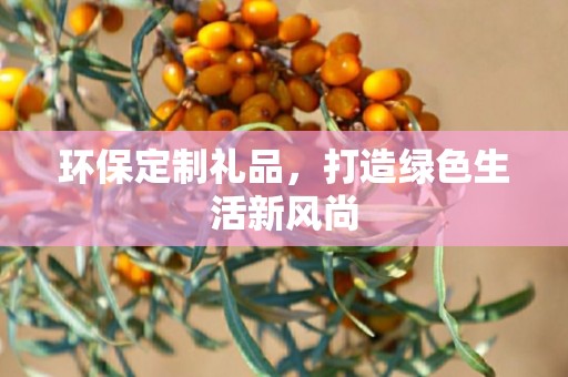 环保定制礼品，打造绿色生活新风尚